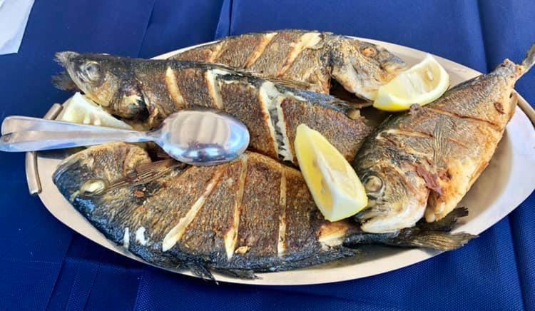 فندق Da Patrizia سانتا تيريزا غالّورا المظهر الخارجي الصورة